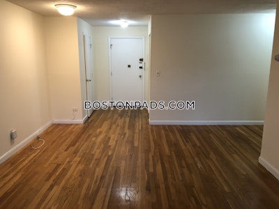 Brighton Apartment for rent 1 Bedroom 1 Bath Boston - $2,600