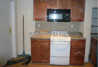 Brookline Apartment for rent 1 Bedroom 1 Bath  Boston University - $2,250