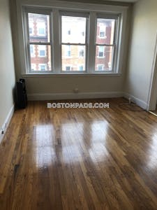Allston Apartment for rent 1 Bedroom 1 Bath Boston - $2,325 No Fee