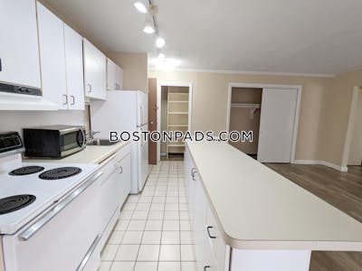 Brookline Apartment for rent 1 Bedroom 1 Bath  Coolidge Corner - $3,200