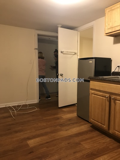 Jamaica Plain Apartment for rent Studio 1 Bath Boston - $1,725 No Fee