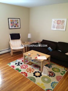 Brighton Nice 2 Bed 1 Bath available 9/1 for Chiswick Rd. in Brighton Boston - $2,720