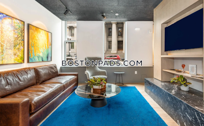 Downtown 1 bedroom 1 baths Luxury in BOSTON Boston - $3,453