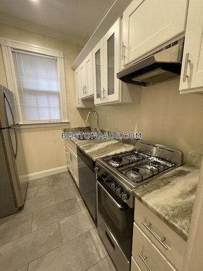 Allston Apartment for rent 1 Bedroom 1 Bath Boston - $2,695 No Fee