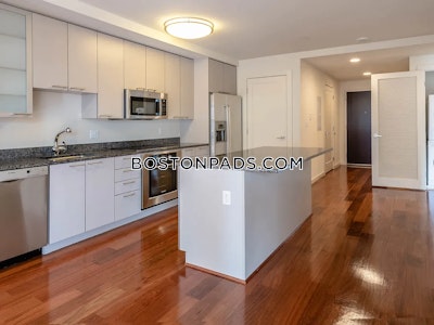 West End Apartment for rent Studio 1 Bath Boston - $2,990