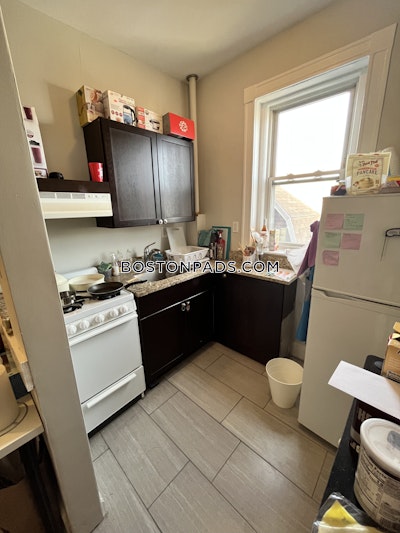 Allston Apartment for rent 1 Bedroom 1 Bath Boston - $2,750