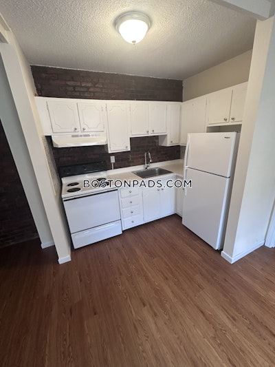 Jamaica Plain Apartment for rent 1 Bedroom 1 Bath Boston - $2,500 No Fee