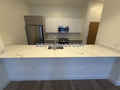 Allston 2 bedroom 2 baths in BOSTON Boston - $3,800 No Fee