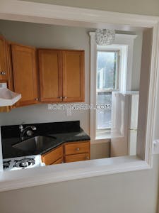 Allston Apartment for rent 1 Bedroom 1 Bath Boston - $2,350