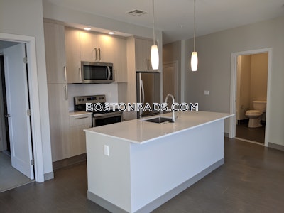 Jamaica Plain Apartment for rent 2 Bedrooms 2 Baths Boston - $3,995