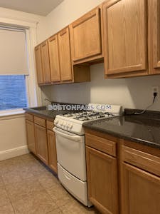 Brighton Apartment for rent 1 Bedroom 1 Bath Boston - $2,375 No Fee