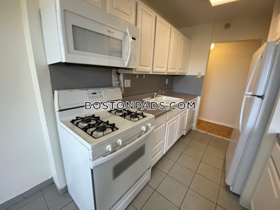 Brookline Apartment for rent 3 Bedrooms 1.5 Baths  Boston University - $5,000 No Fee