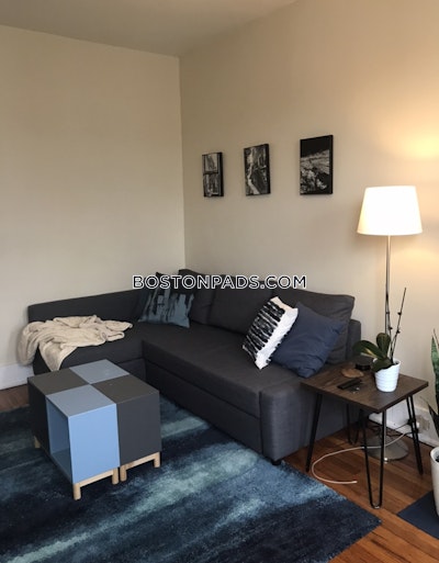 Allston Apartment for rent 1 Bedroom 1 Bath Boston - $2,900