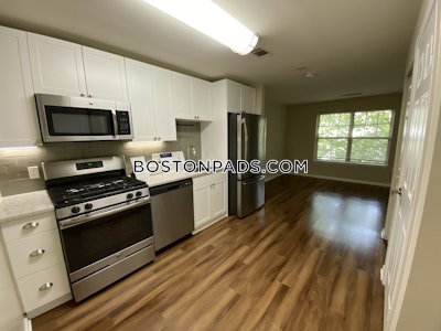Newton Apartment for rent Studio 1 Bath  Chestnut Hill - $2,965