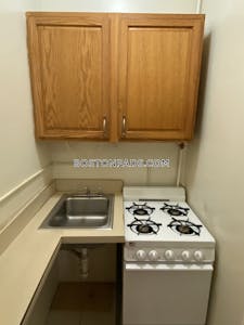 Fenway/kenmore Apartment for rent Studio 1 Bath Boston - $3,000 No Fee