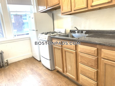 Allston/brighton Border Apartment for rent 1 Bedroom 1 Bath Boston - $2,325 No Fee