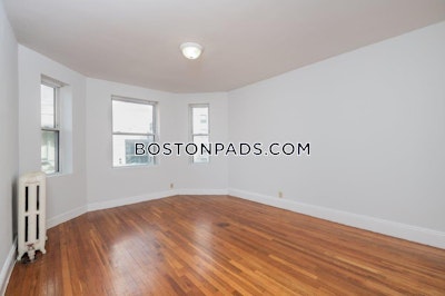 Mission Hill Apartment for rent 1 Bedroom 1 Bath Boston - $2,975