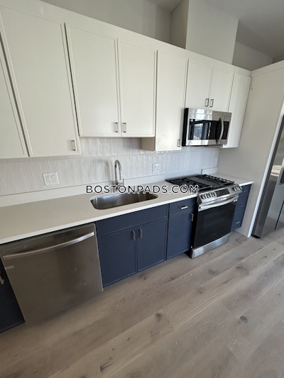 Allston Apartment for rent 2 Bedrooms 2 Baths Boston - $4,250 No Fee