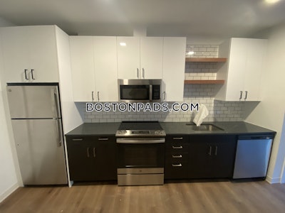 Allston Apartment for rent 1 Bedroom 1 Bath Boston - $3,215 No Fee
