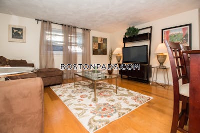 Brookline Nice 1 Bed 1 Bath available 5/18/23 on Chestnut St. in Brookline Brookline Hills - $4,300