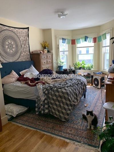 Waltham Apartment for rent 1 Bedroom 1 Bath - $2,300